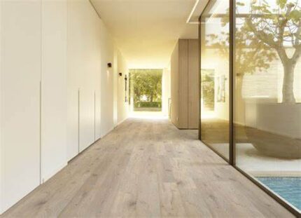 FOREST 806