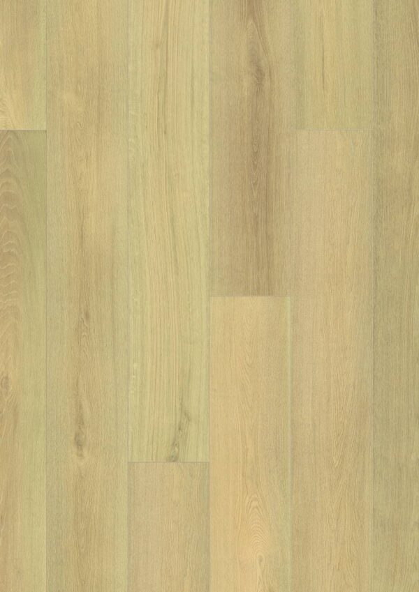 K659 Blonde Montreux Oak