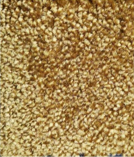 FORUM TILLEUL - 4M DE LARGE